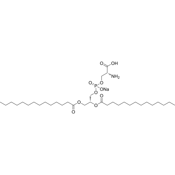 1,2-Dimyristoyl-sn-glycero-3-phospho-L-serine sodium 105405-50-3